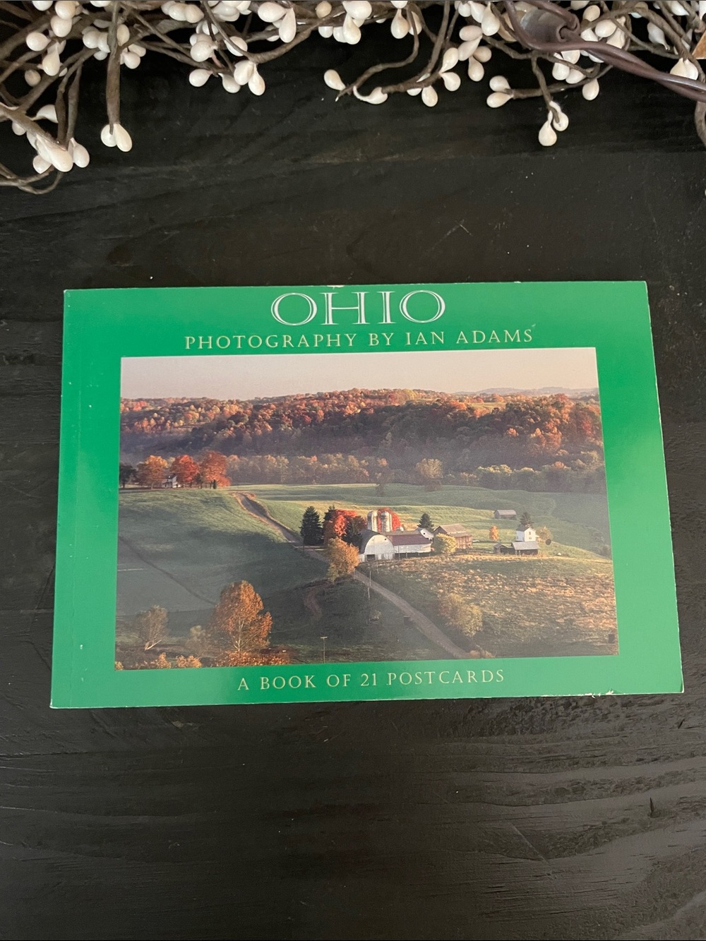 NEW Ohio Photography by Ian Adams - Book of 21 Cardstock Postcards w/Description